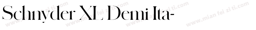 Schnyder XL Demi Ita字体转换